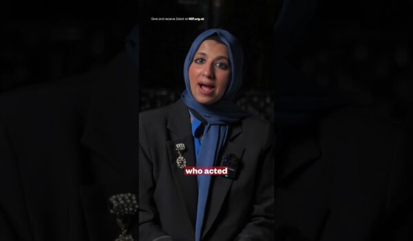 Featured image for Everyone Has a Role to Play. This Is Yours.